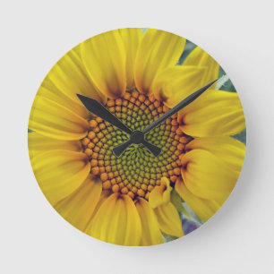 Little Sunflower Round Clock