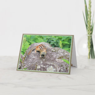 Little things in life make it special-chipmunk: ca card