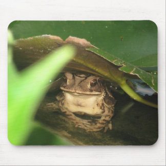 Little Toad Frog Mouse Pad