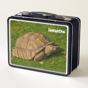 Little Tortoise Metal Lunchbox