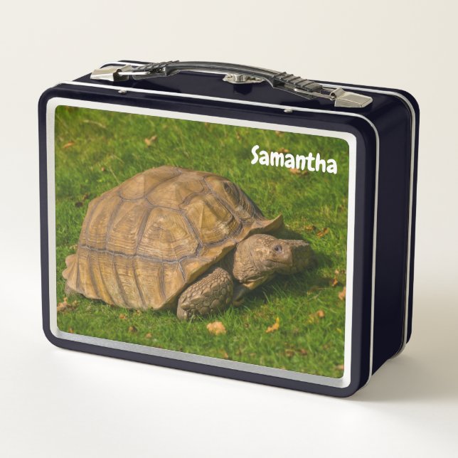 Little Tortoise Metal Lunchbox (Back)