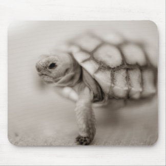 Little Tortoise Mouse Mat