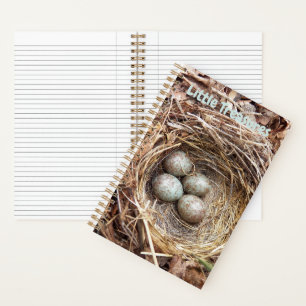 Little Treasures Bird Nest Eggs Notebook