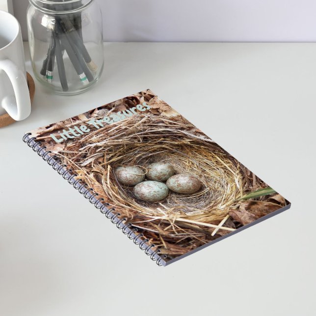 Little Treasures Bird Nest Eggs Notebook (In Situ)