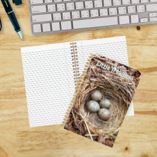 Little Treasures Bird Nest Eggs Notebook