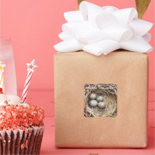 Little Treasures Bird Nest Eggs Photo Square Sticker