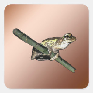 Little Tree Frog Oil Paint, Stickers