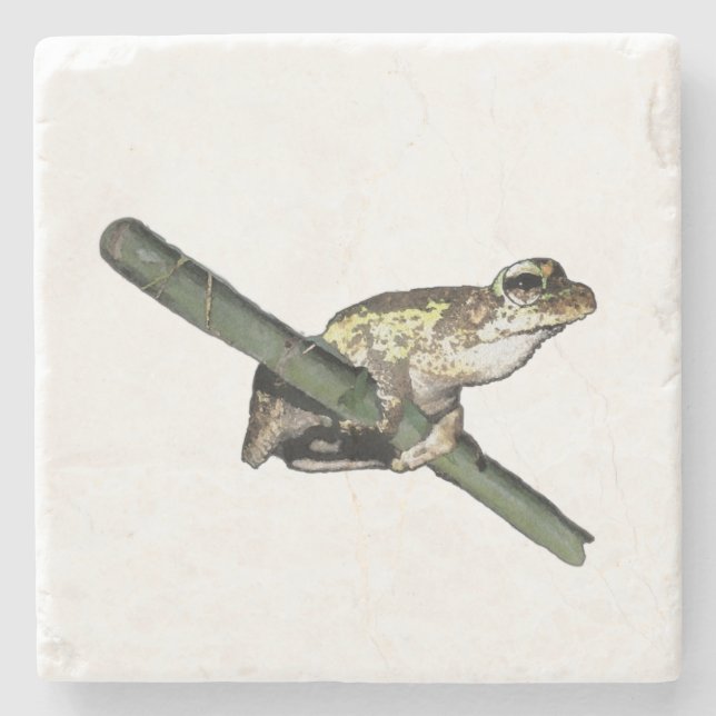 Little Tree Frog Oil Paint, Stone Coaster (Front)