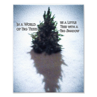 Little Tree Inspiring  Quote Photo Enlargement