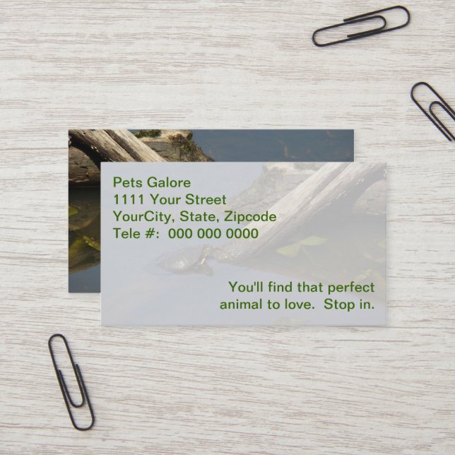 Little Turtle On A Log Business Card (Front/Back In Situ)