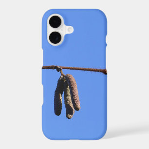 Little Twig on Blue Sky