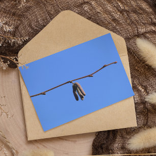Little Twig on Blue Sky Card