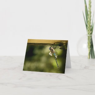 "Little Visitor" Card