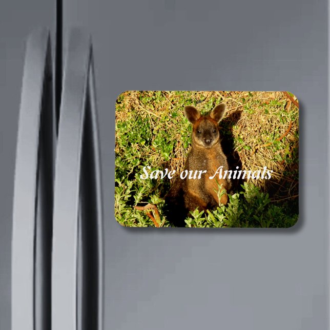 Little Wallaby Magnet (Creator Uploaded)