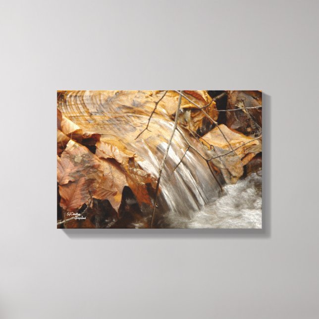 Little waterfall Stretched Canvas Print (Front)