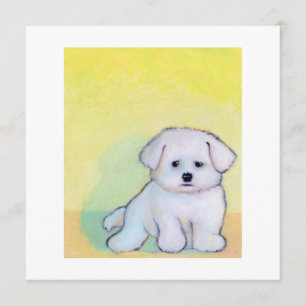 Little white dog art drawing cute Maltese puppy Announcement