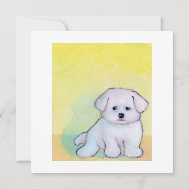 Little white dog art drawing cute Maltese puppy Announcement (Front)