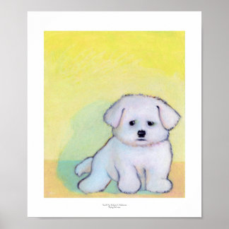 Little white dog art drawing cute Maltese puppy Poster