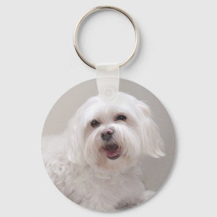 Little White Dog (Maltese) Rescue Key Ring