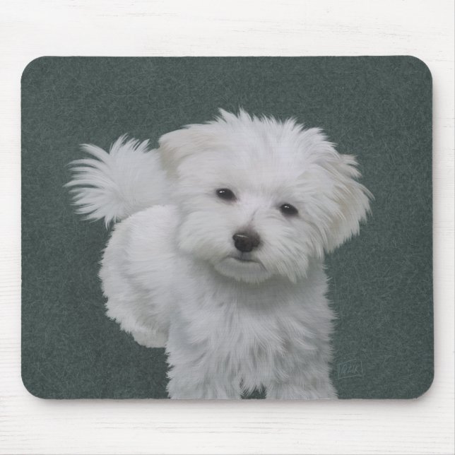   Little white dog pet portrait  Mouse Mat (Front)