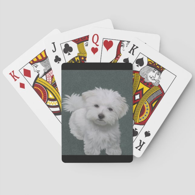   Little white dog pet portrait  Playing Cards (Back)
