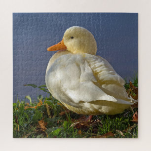 Little White Duck Jigsaw Puzzle