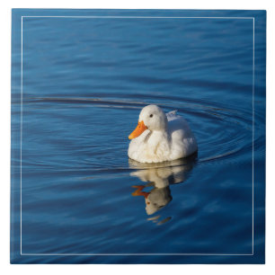 Little White Duck Reflections Tile