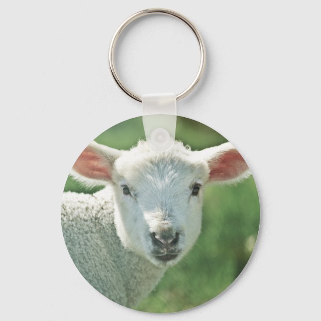 Little White Lamb Key Ring (Front)