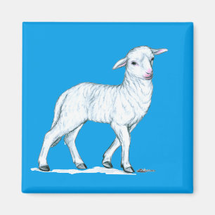Little White Lamb Magnet
