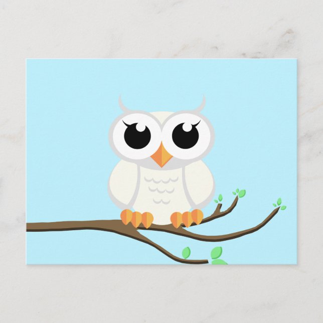 Little White Owl - Blank Postcard (Front)