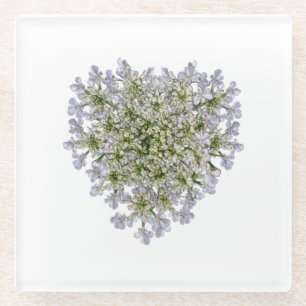 little white petals  glass coaster