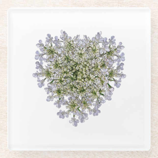 little white petals  glass coaster (Front)