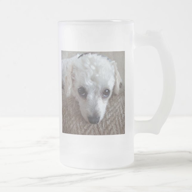 Little White Teacup Poodle Dog Frosted Glass Beer Mug (Right)