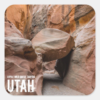 Little Wild Horse Slot Canyon - Utah - Sticker