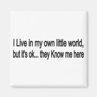 Little World Magnet