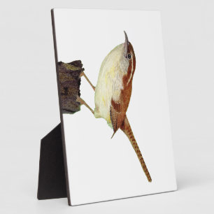 Little Wren Plaque