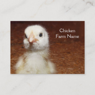 Little Yellow Chick - Chicken Farm Business Card