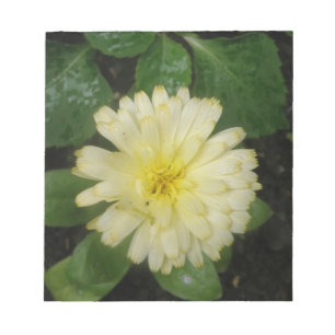Little Yellow Marigold Notepad