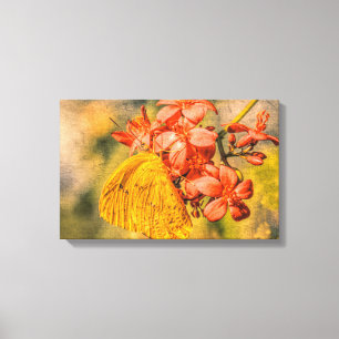 Little Yellow Sulphur Butterfly Canvas Print