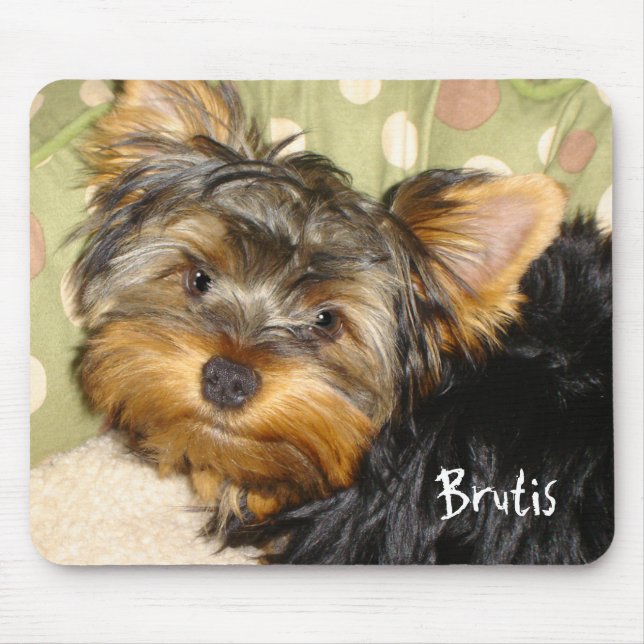 Little Yorkie Mouse Pad (Front)