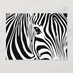 Little Zebra Postcard