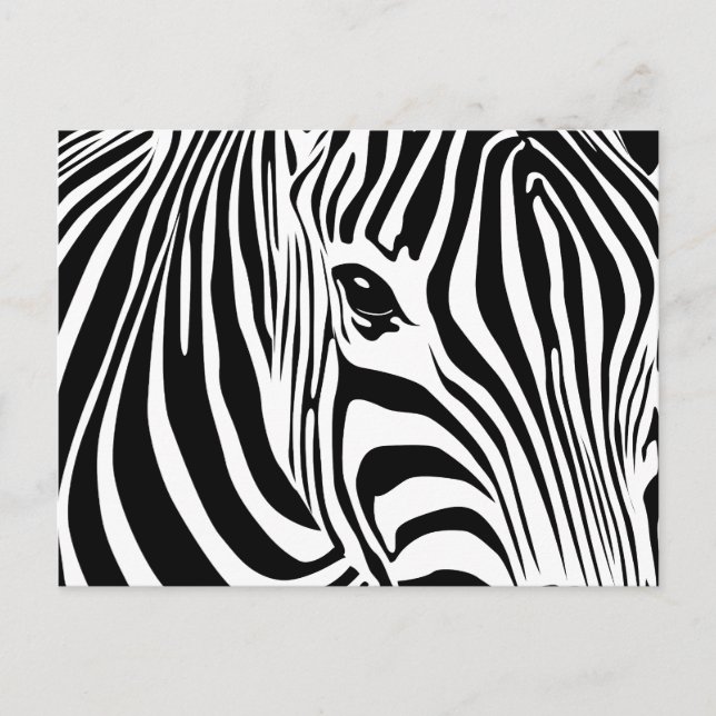 Little Zebra Postcard (Front)