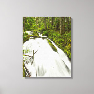 Little Zig Zag Falls   Mount Hood National Forest Canvas Print