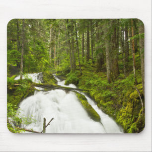 Little Zig Zag Falls   Mount Hood National Forest Mouse Mat