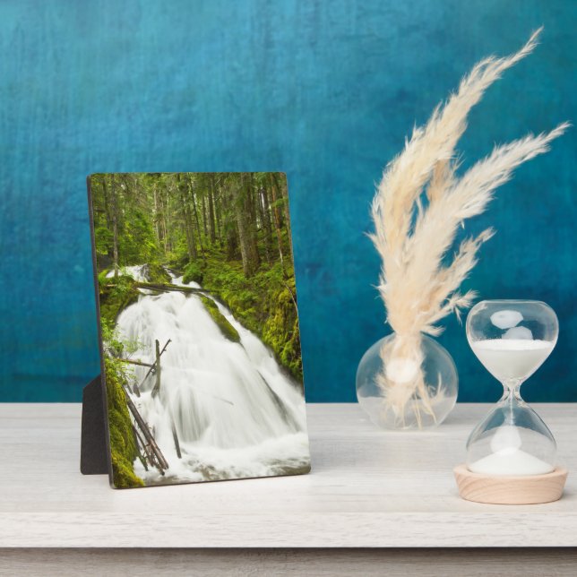 Little Zig Zag Falls | Mount Hood National Forest Plaque (Side)