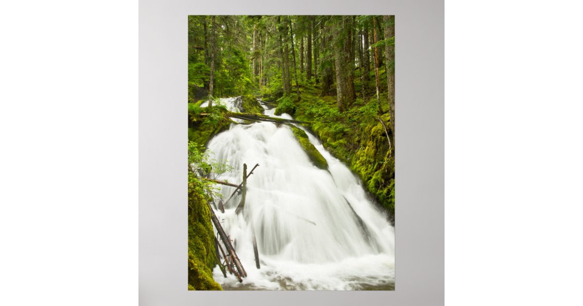 Little Zig Zag Falls Mount Hood National Forest Poster Zazzle