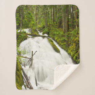 Little Zig Zag Falls   Mount Hood National Forest Sherpa Blanket