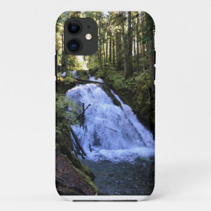 Little Zigzag Falls, OR iPhone 11 Case