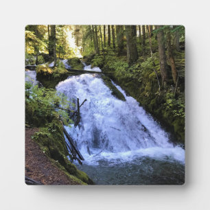 Little Zigzag Falls, OR Plaque