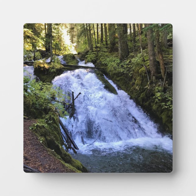 Little Zigzag Falls, OR Plaque (Front)